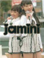 jamini